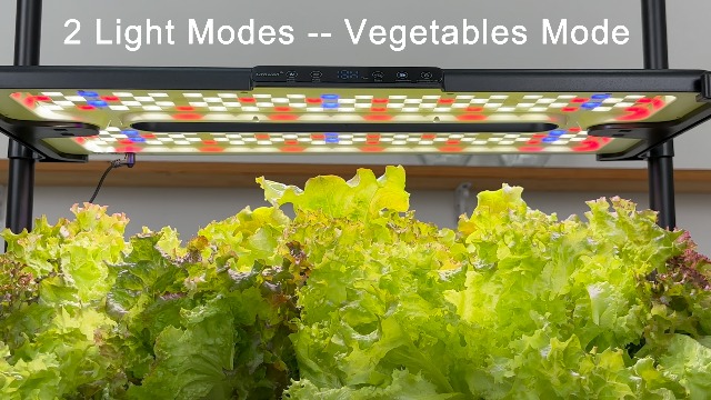 Amazon.com: Growell Large Hydroponics Growing System Kit, 54 Pods
